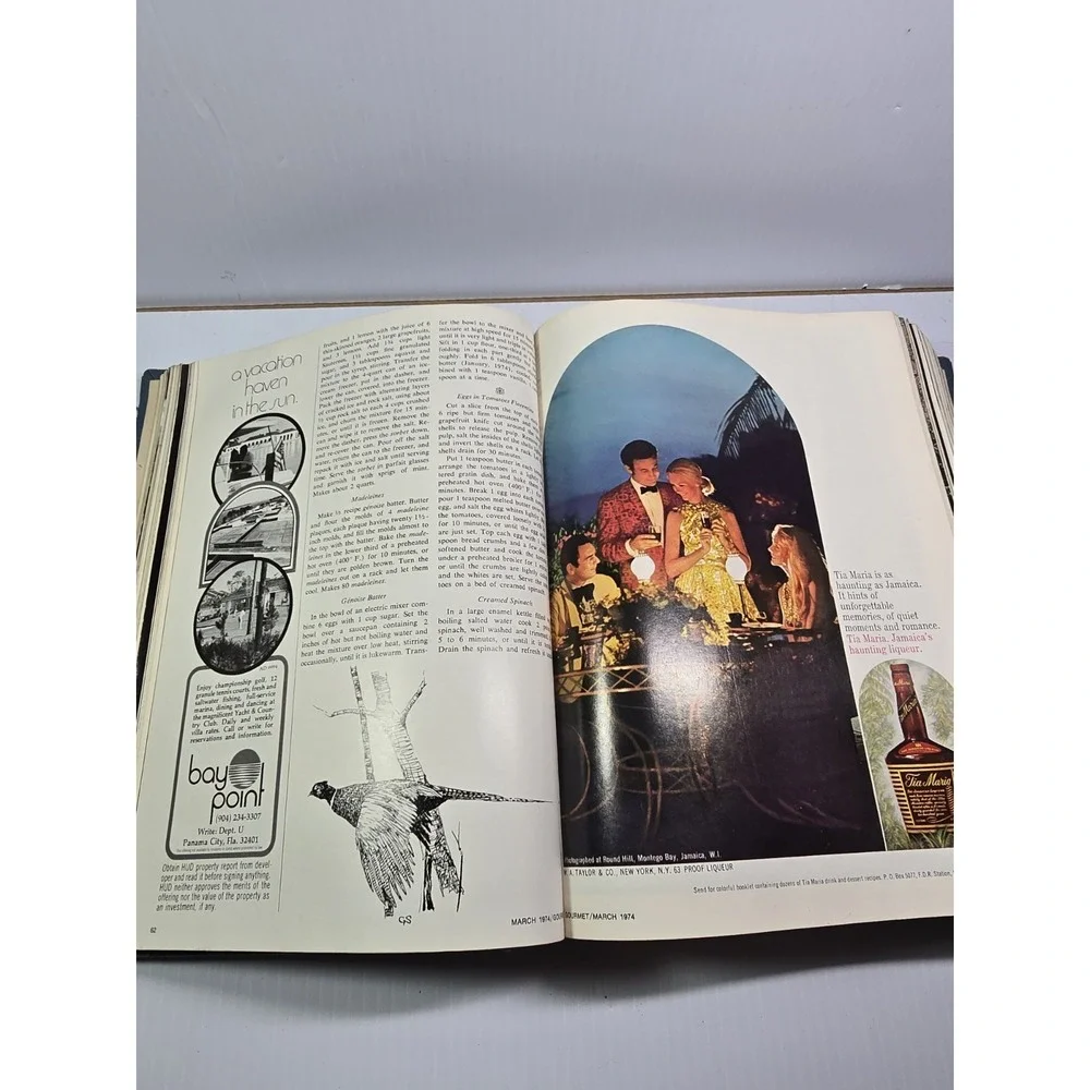 Gourmet‎ Magazines Bound VOL. 34  - 1974, Make Your Own Art, 70's Life, Gen X